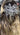DANA - Swarovski Crystals Hair Comb - RTS