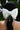 HARPER - Cascade Pearls Statement Bow -RTS