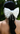 HARPER - Cascade Pearls Statement Bow -RTS